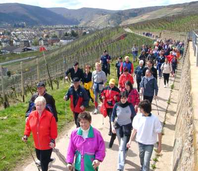 Nordic Walking beim SWR und AOK Walking Day in Ahrweiler am 4.4.2004